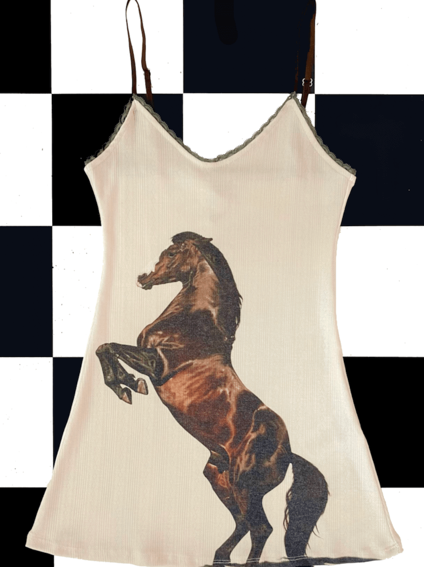 o'mighty HORSE POINTELLE DRESS