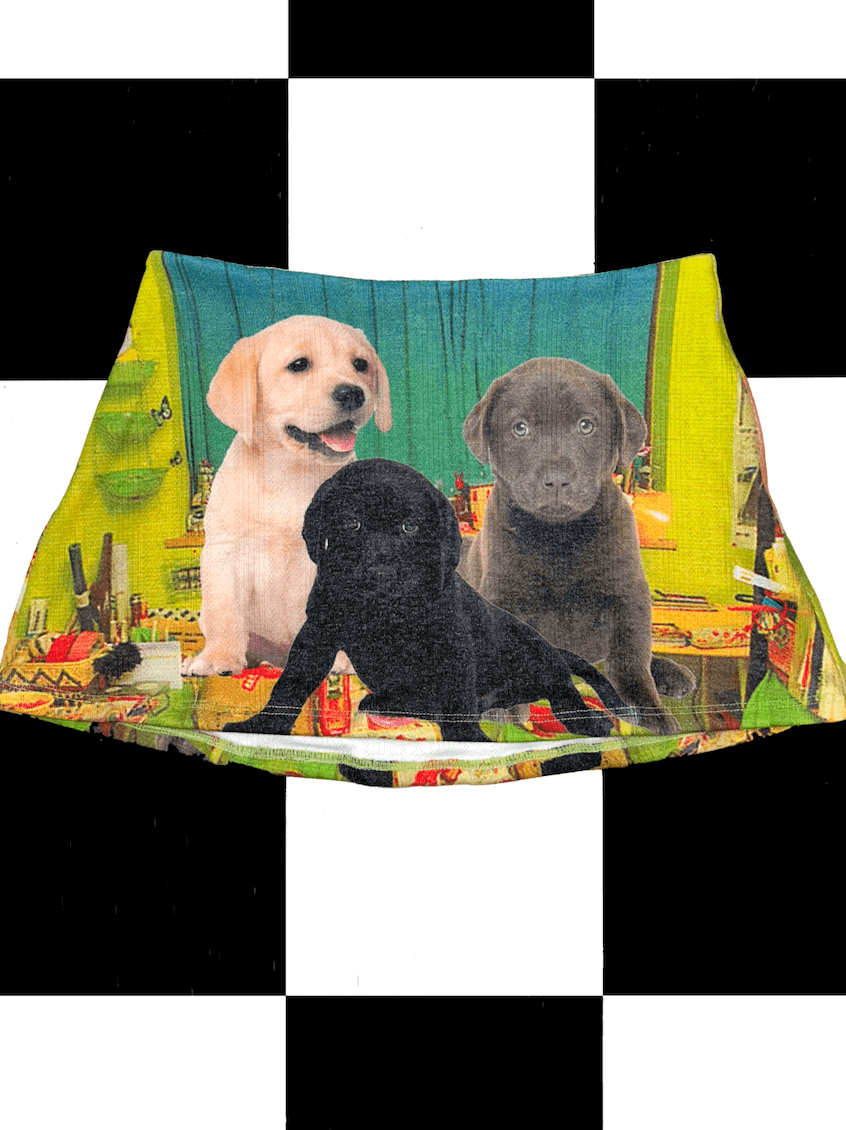 o'mighty LABRADORS POINTELLE MICRO SKIRT