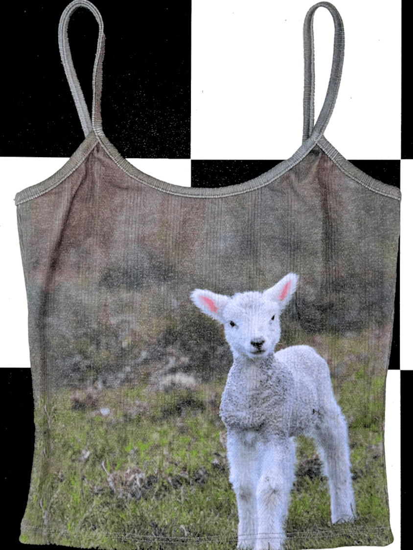o'mighty LAMB POINTELLE CAMISOLE