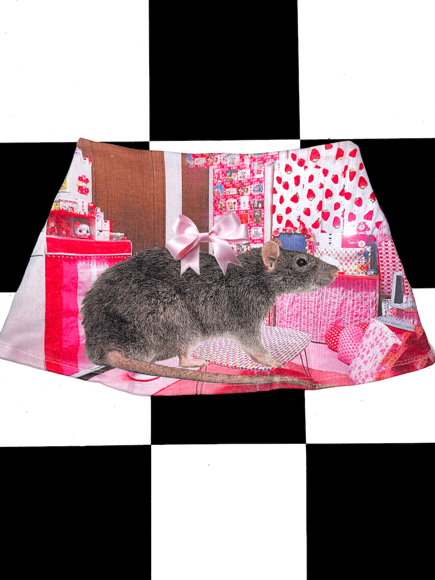 o'mighty RAT BF POINTELLE MICRO SKIRT