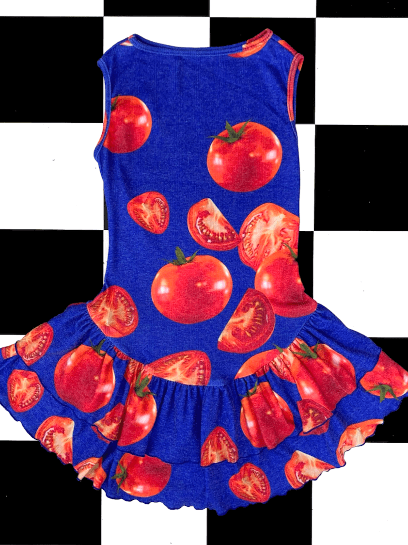 o'mighty TOMATO BALLET DRESS IN BLUE