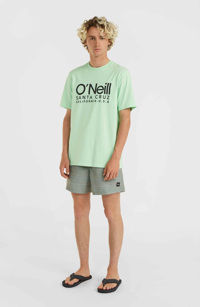Oneill Men Jack O'Neill Cali First 15'' Swim Shorts | Green