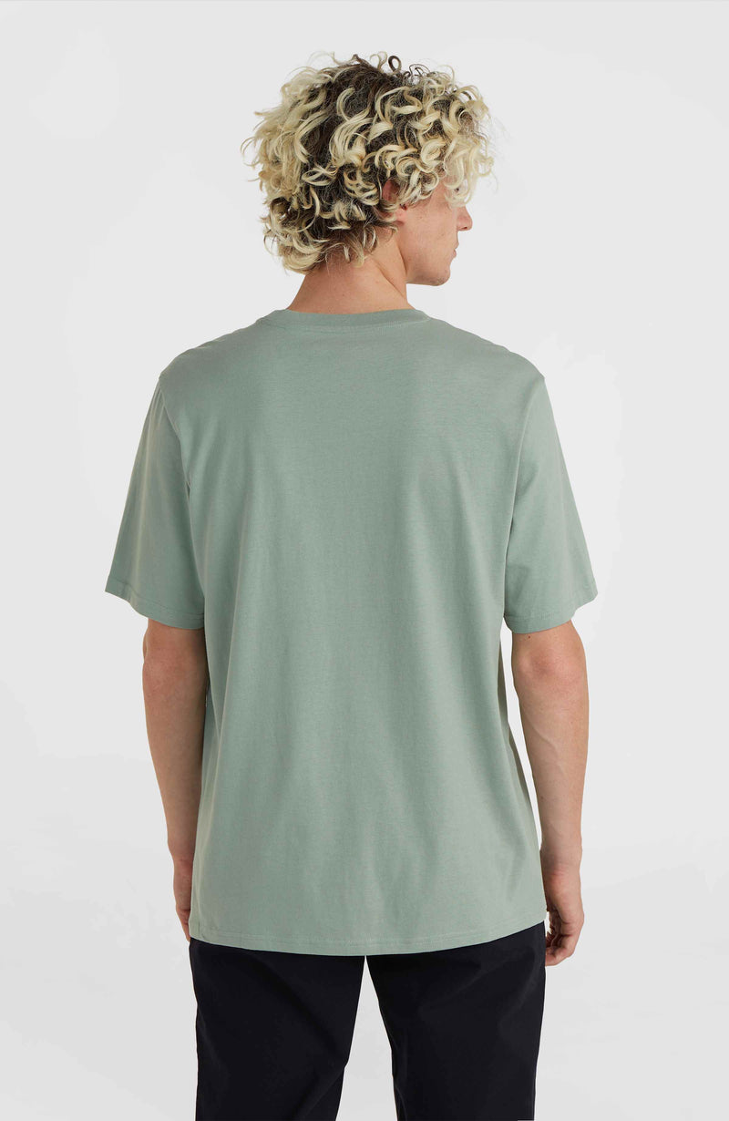 Oneill Men Mix And Match Floral Graphic T-Shirt | Green