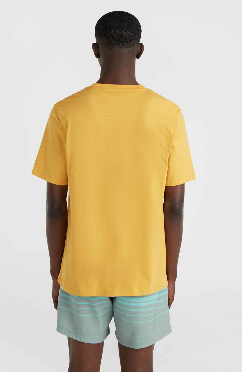 Oneill Men Mix And Match Floral Graphic T-Shirt | Yellow