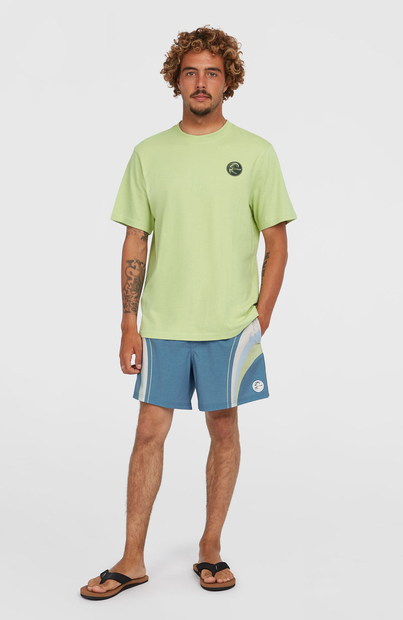 Oneill Men O'Riginals Longboard 15'' Swim Shorts | Blue Mix