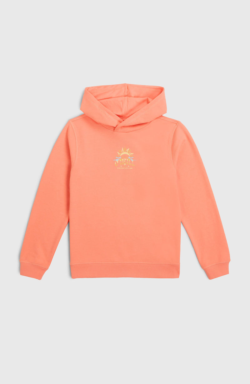 Oneill Kids Back Print Hoodie | Pink