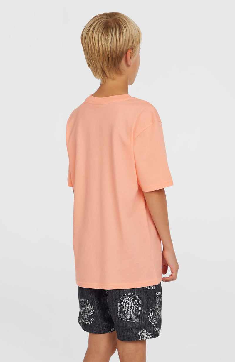 Oneill Kids Cali 14'' Swim Shorts | Black