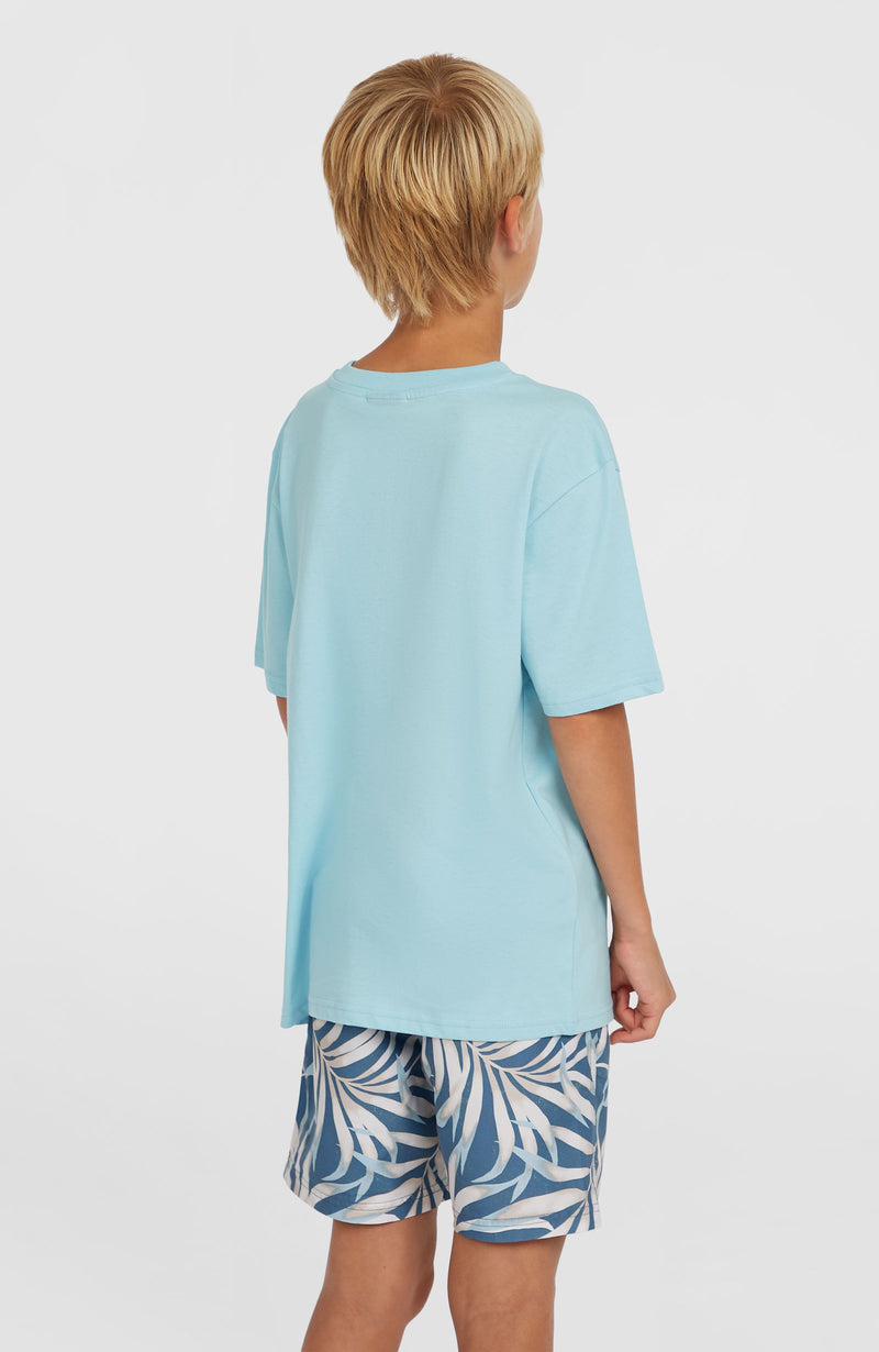 Oneill Kids Cali 14'' Swim Shorts | Blue