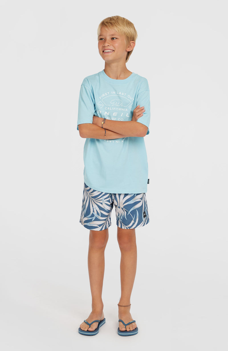 Oneill Kids Cali 14'' Swim Shorts | Blue