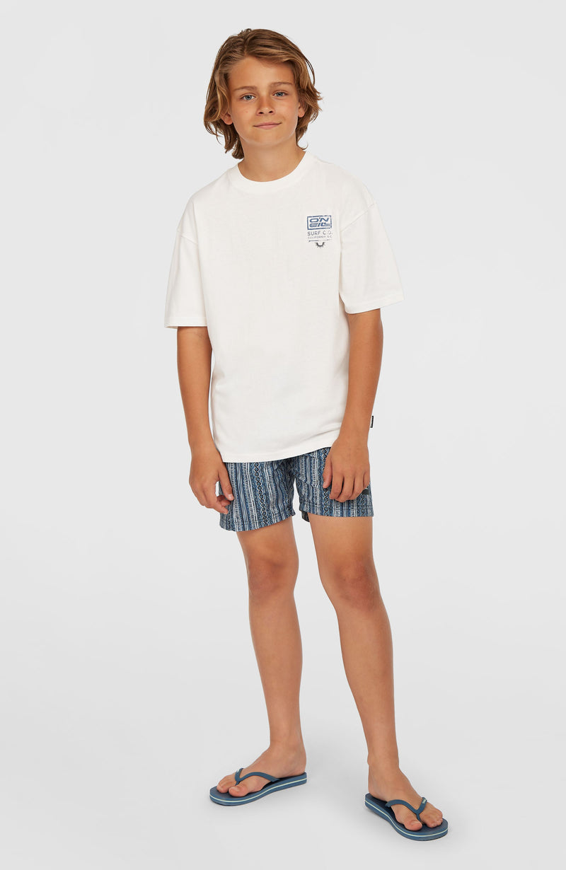Oneill Kids Cali 14'' Swim Shorts | Blue