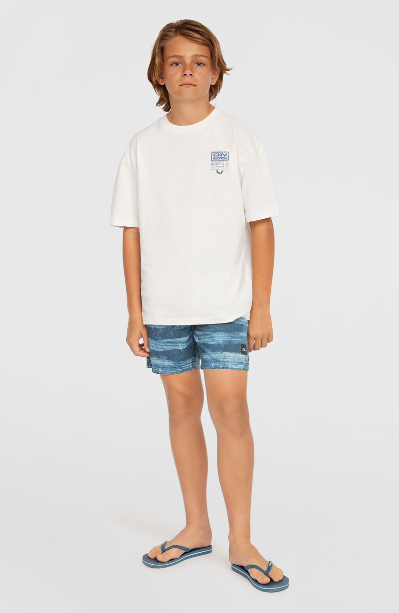 Oneill Kids Cali Gradient 14'' Swim Shorts | Blue