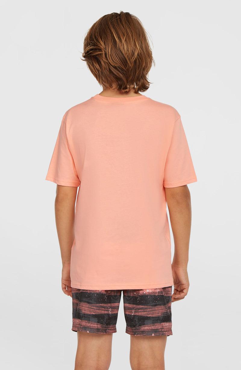 Oneill Kids Cali Gradient 14'' Swim Shorts | Pink