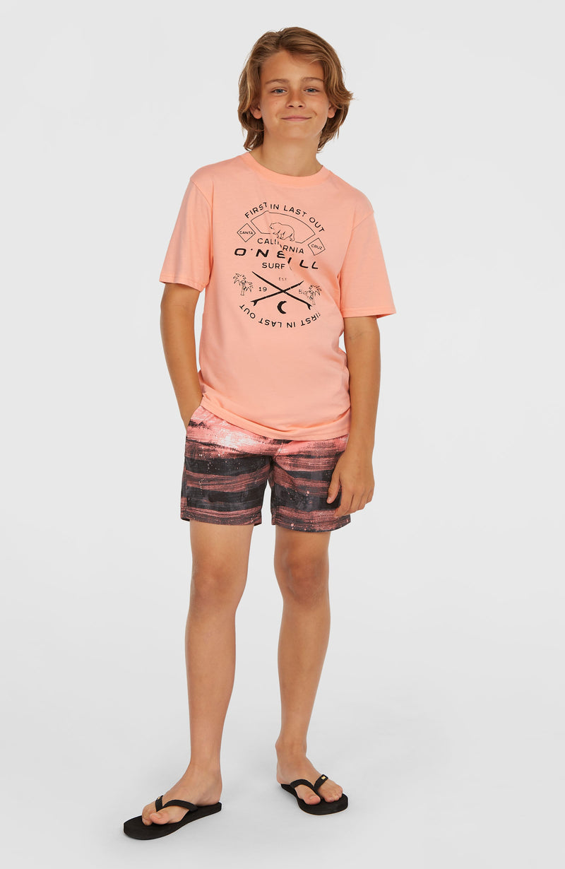Oneill Kids Cali Gradient 14'' Swim Shorts | Pink