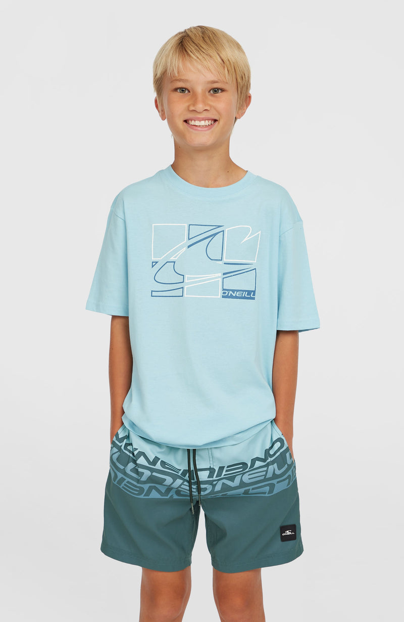 Oneill Kids Cali Stripe 14'' Swim Shorts | Blue