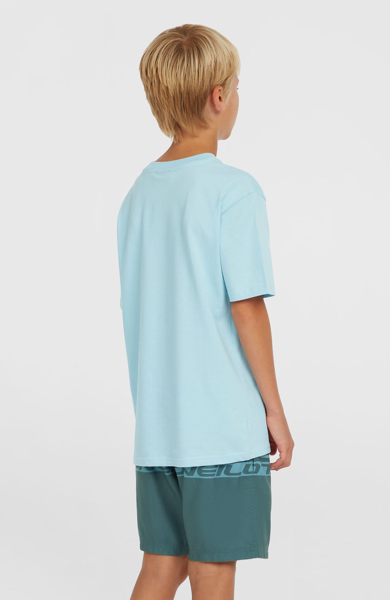 Oneill Kids Cali Stripe 14'' Swim Shorts | Blue