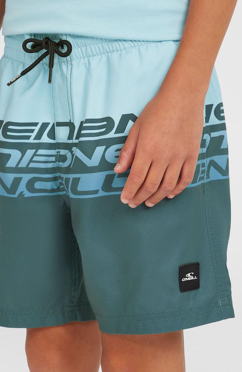 oneill Kids Cali Stripe 14'' Swim Shorts | Blue