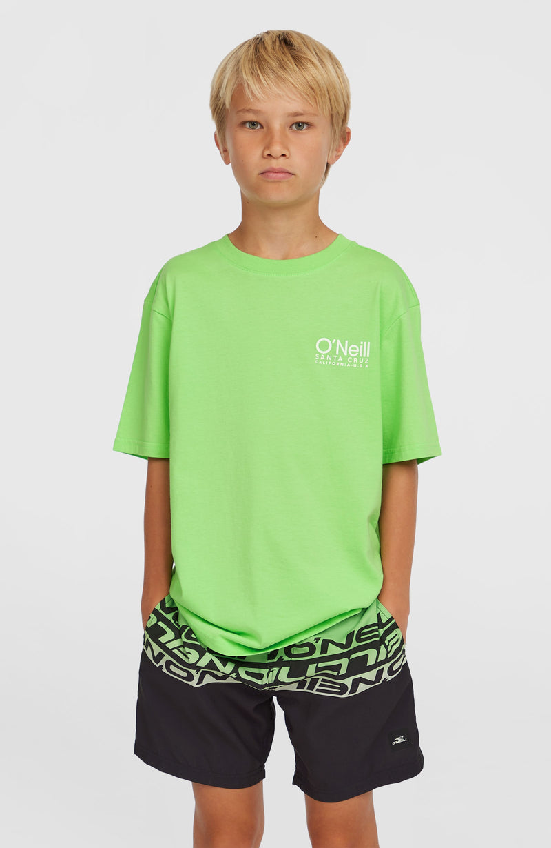 Oneill Kids Cali Stripe 14'' Swim Shorts | Green