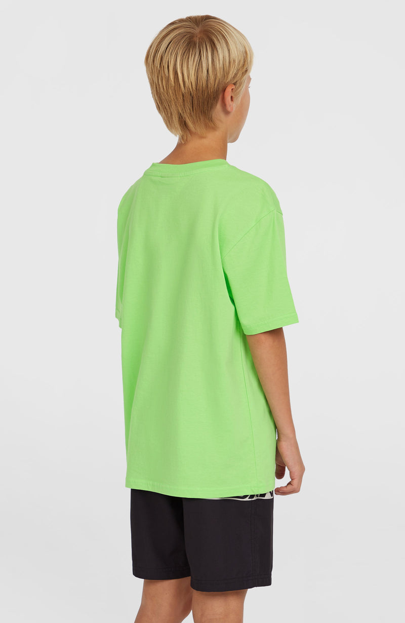 Oneill Kids Cali Stripe 14'' Swim Shorts | Green