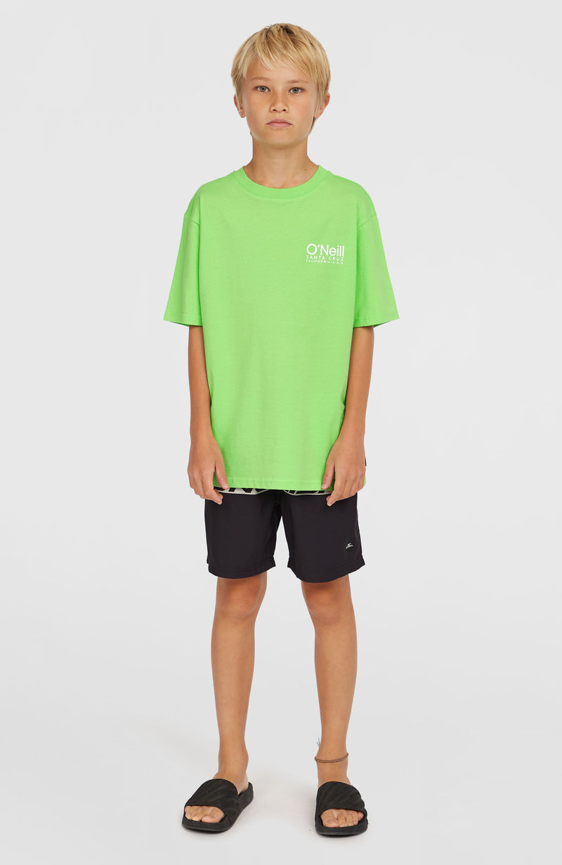 Oneill Kids Cali Stripe 14'' Swim Shorts | Green