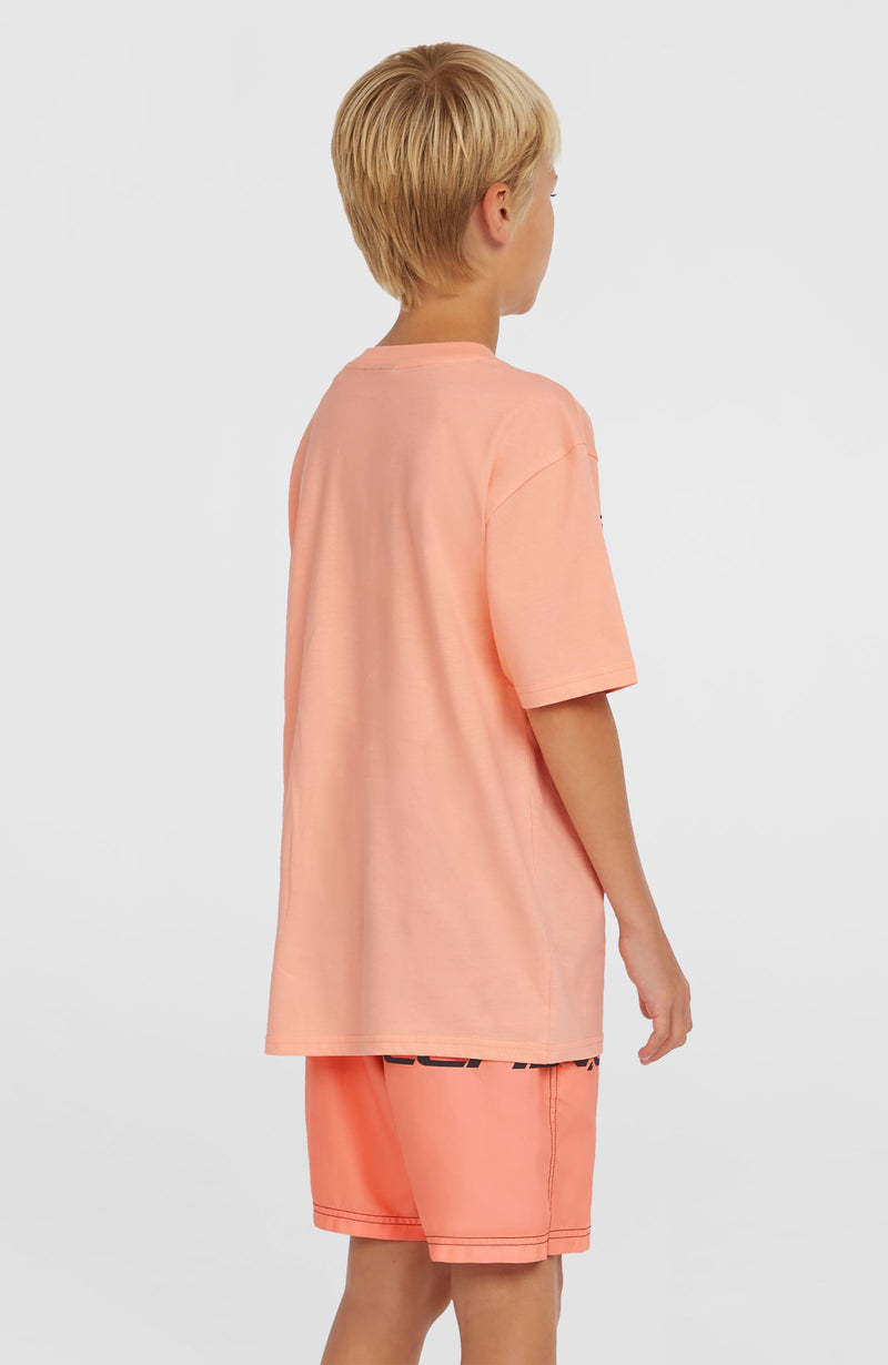 Oneill Kids Cali Stripe 14'' Swim Shorts | Pink