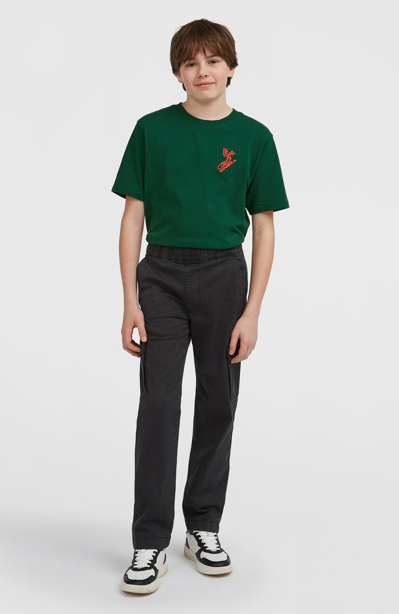 oneill Kids Cargo Pants | Black
