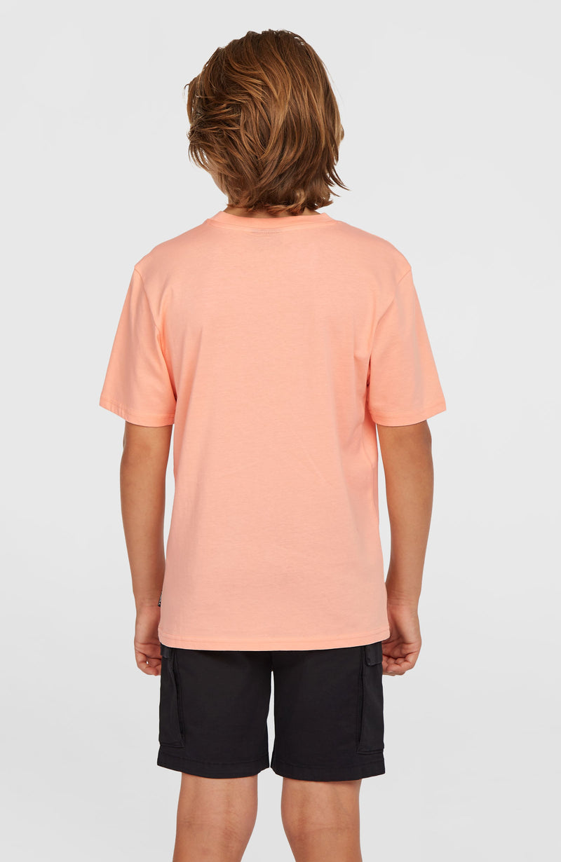 Oneill Kids Cargo Shorts | Black