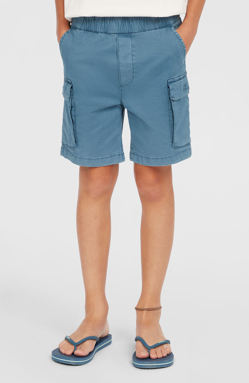Oneill Kids Cargo Shorts | Blue