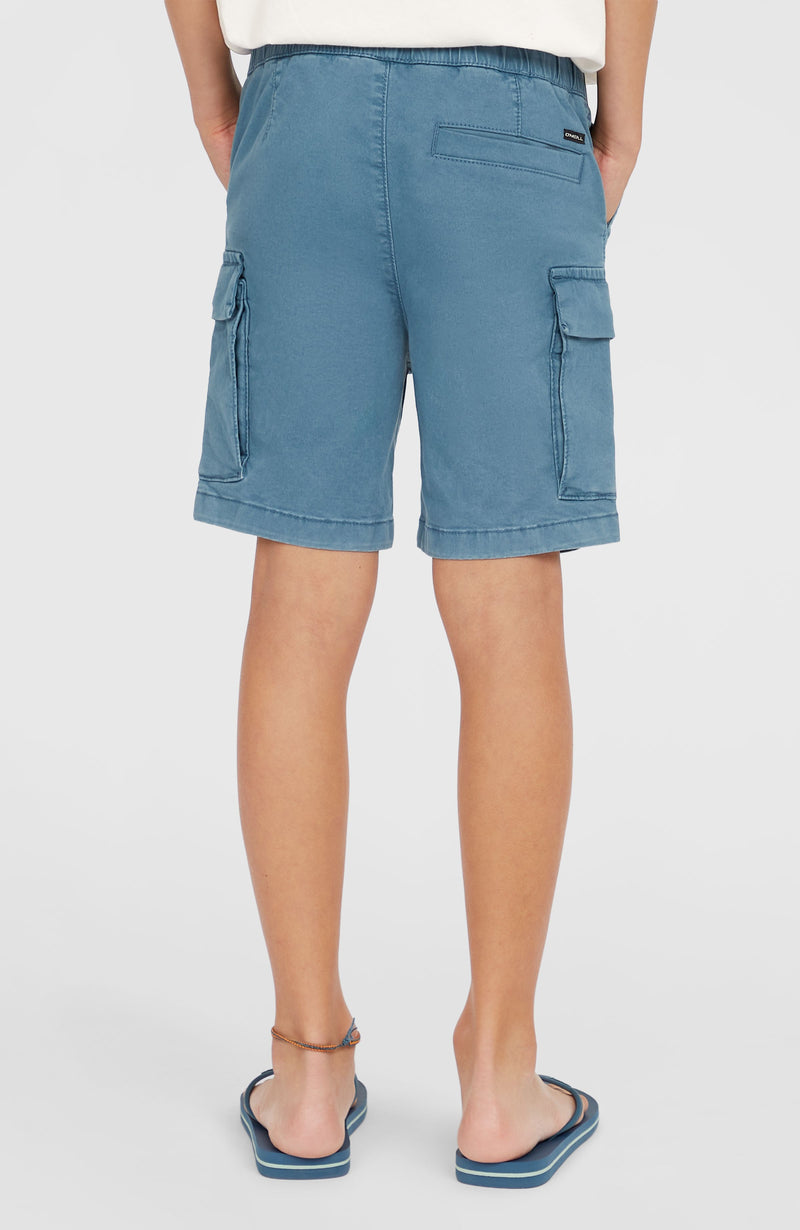 Oneill Kids Cargo Shorts | Blue