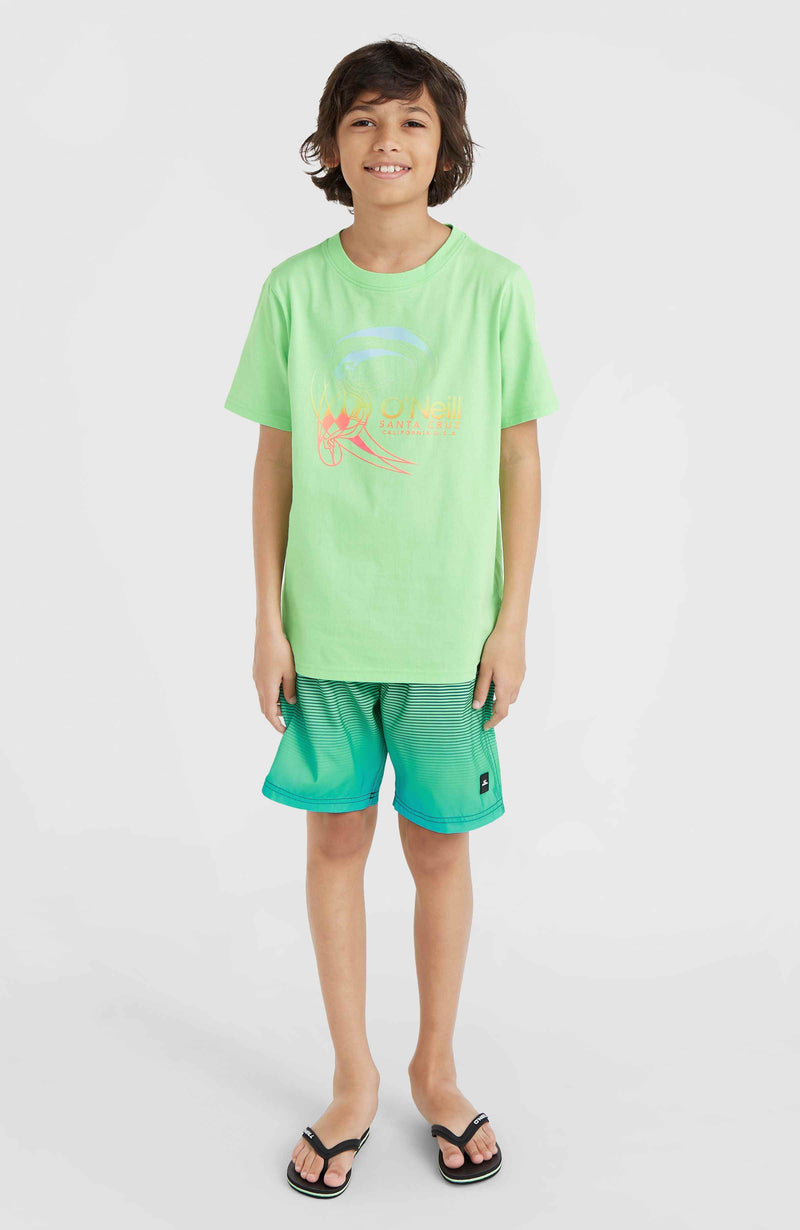 Oneill Kids Circle Surfer T-Shirt | Green