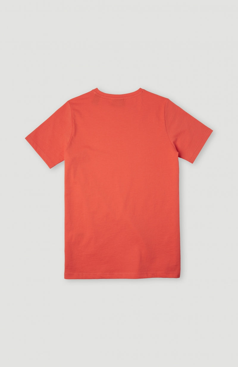 Oneill Kids Circle Surfer T-Shirt | Orange