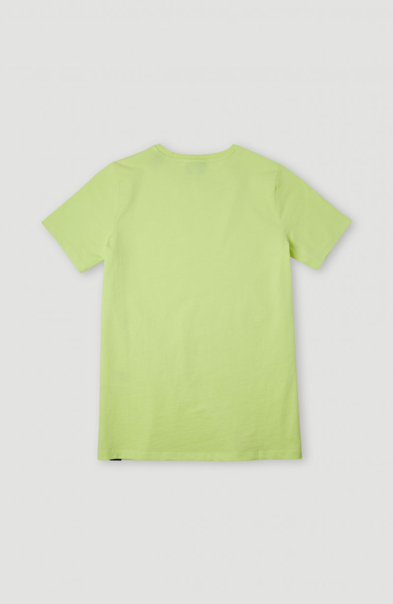 Oneill Kids Circle Surfer T-Shirt | Yellow