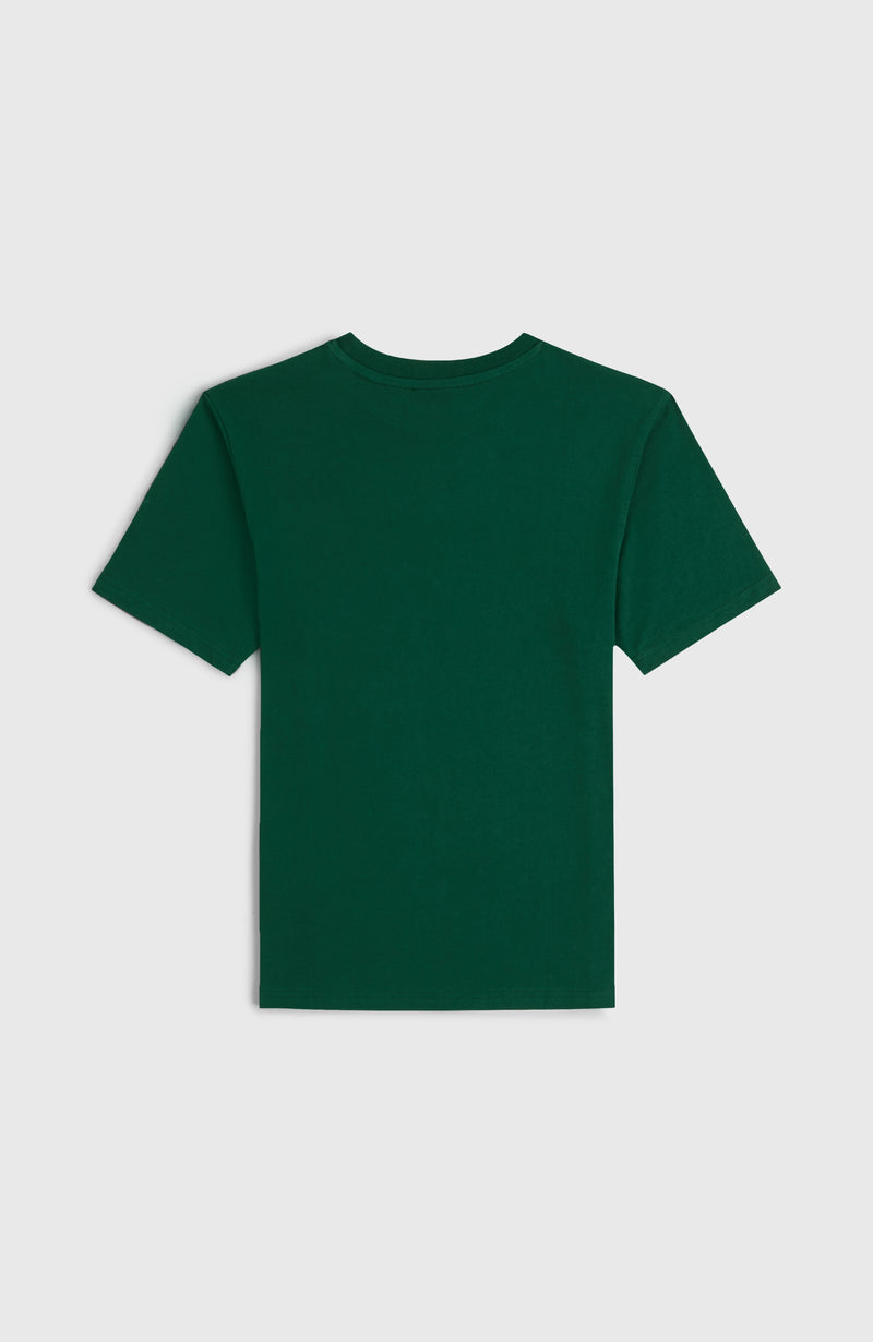 Oneill Kids Essentials Cali Logo T-Shirt | Green