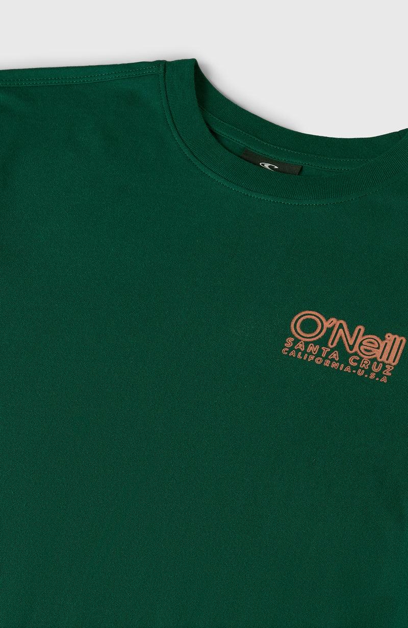 Oneill Kids Essentials Cali Logo T-Shirt | Green