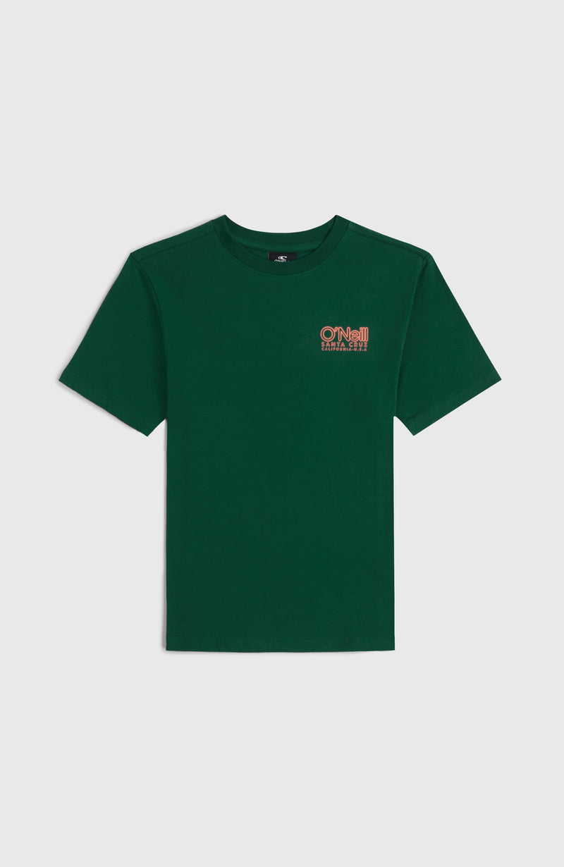 oneill Kids Essentials Cali Logo T-Shirt | Green