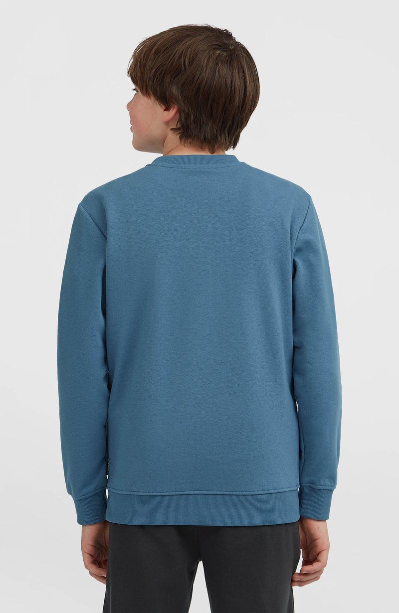 Oneill Kids Essentials Crew Sweatshirt | Blue