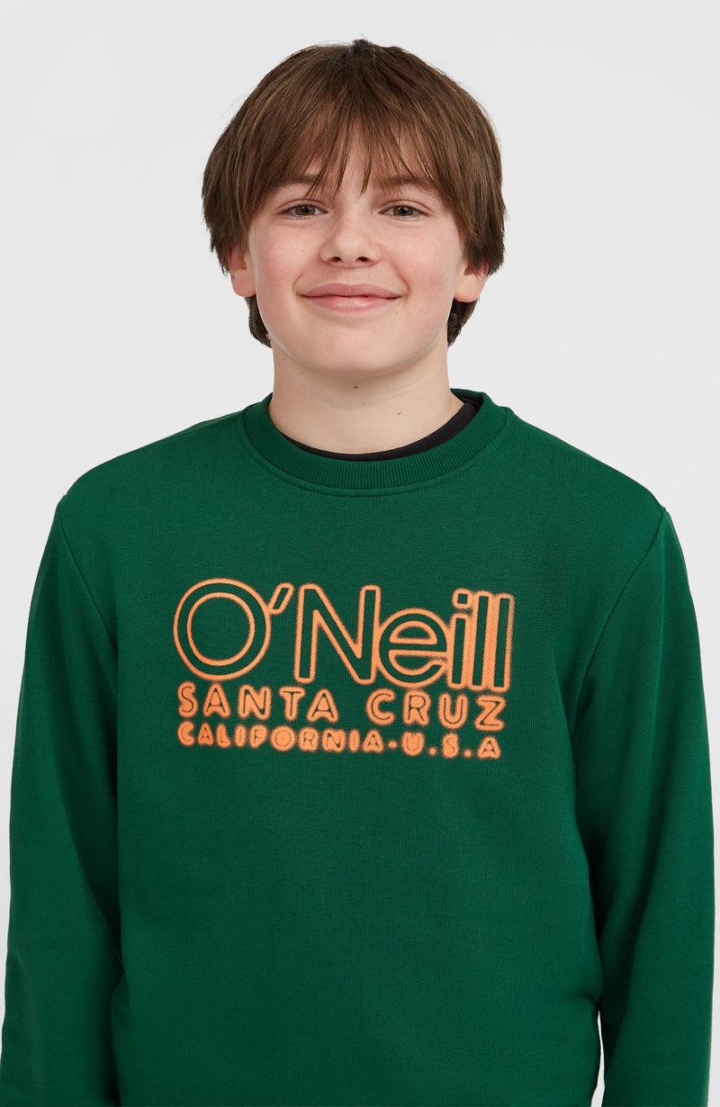 Oneill Kids Essentials Crew Sweatshirt | Green