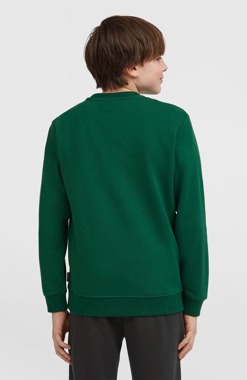 Oneill Kids Essentials Crew Sweatshirt | Green