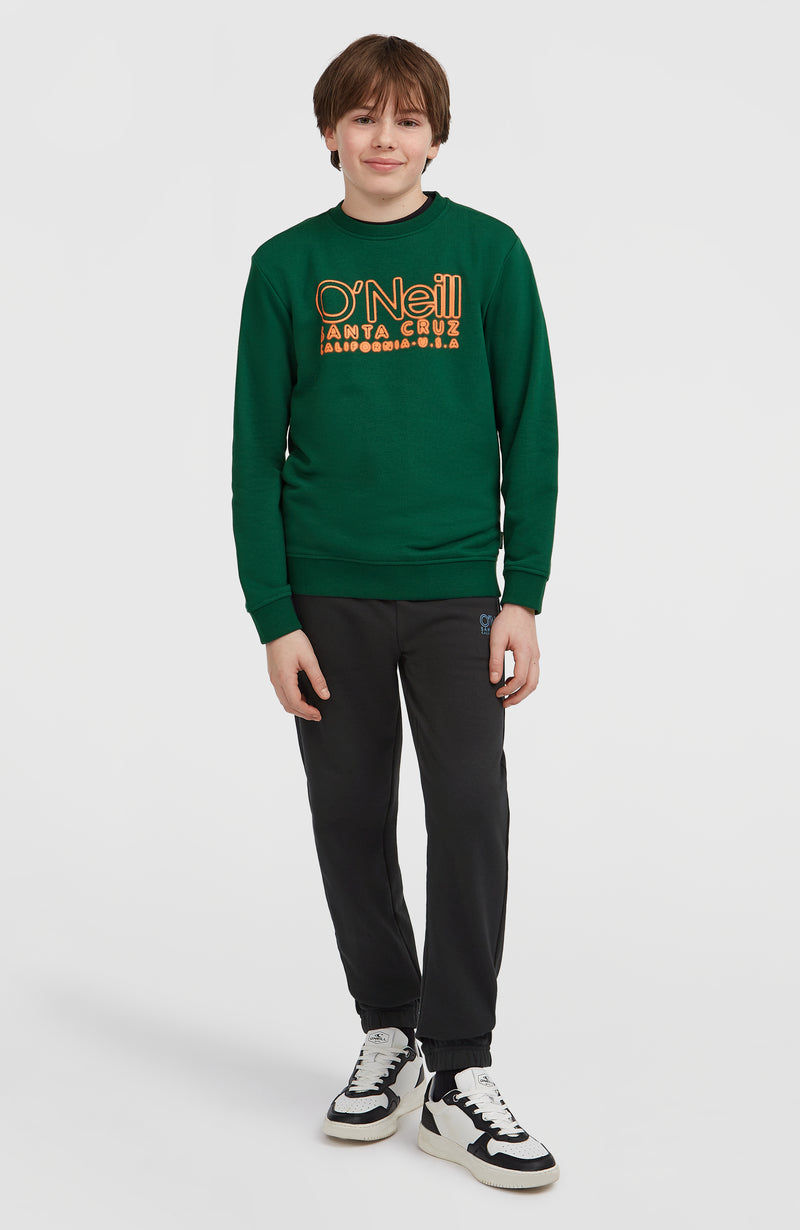 Oneill Kids Essentials Crew Sweatshirt | Green