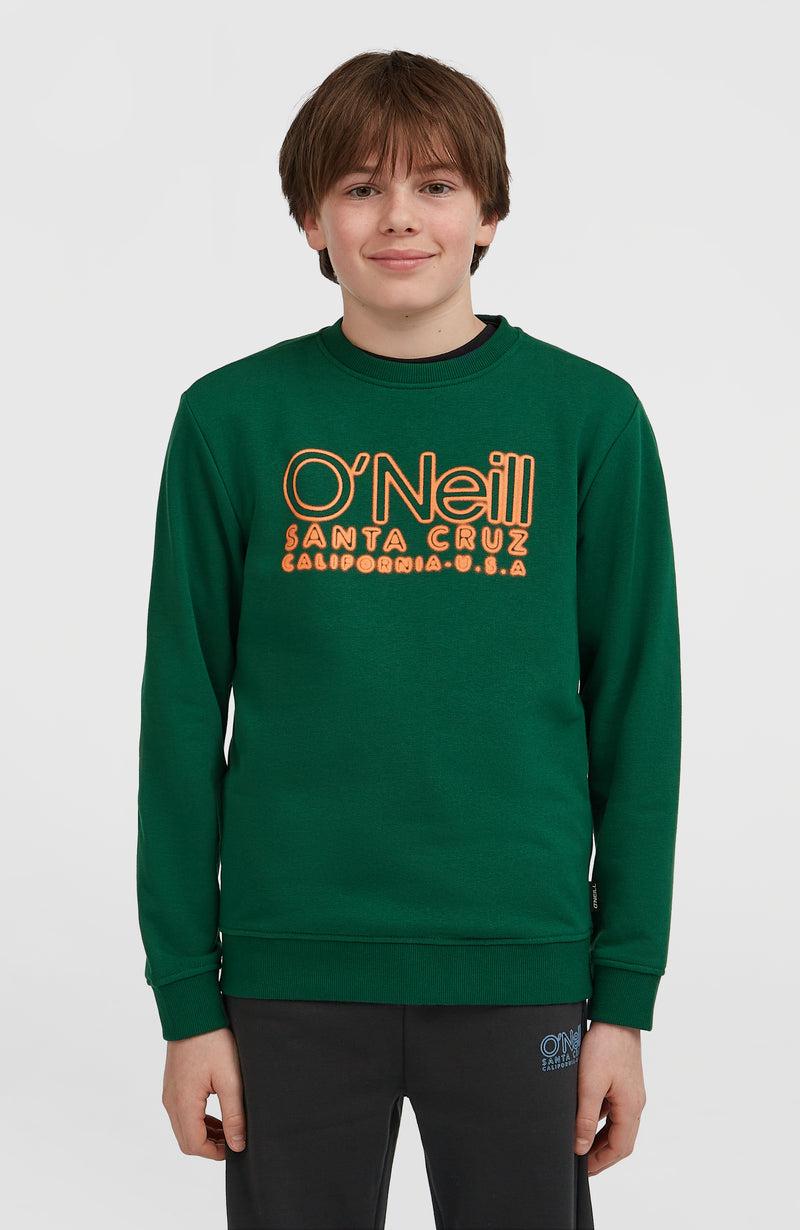 oneill Kids Essentials Crew Sweatshirt | Green
