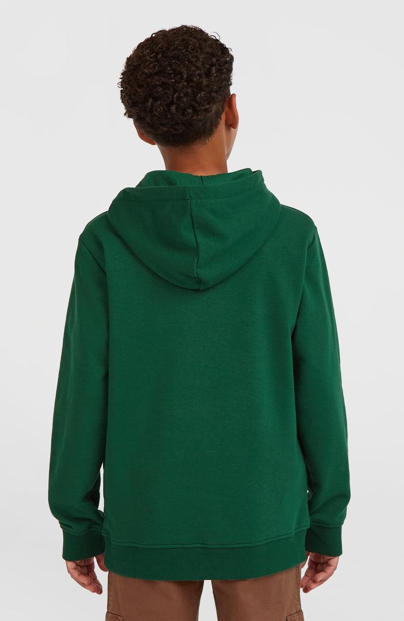 Oneill Kids Essentials Hoodie | Green