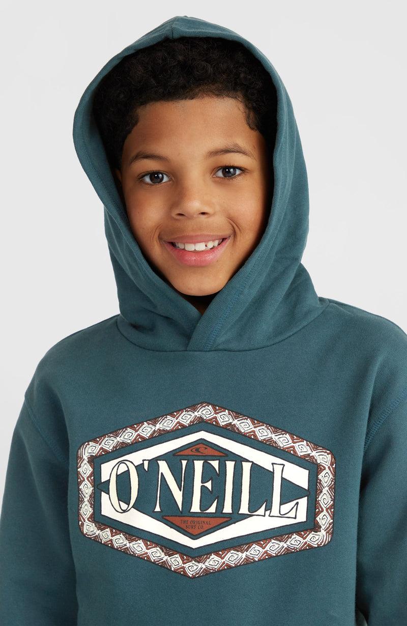 Oneill Kids Front Print Hoodie | Blue