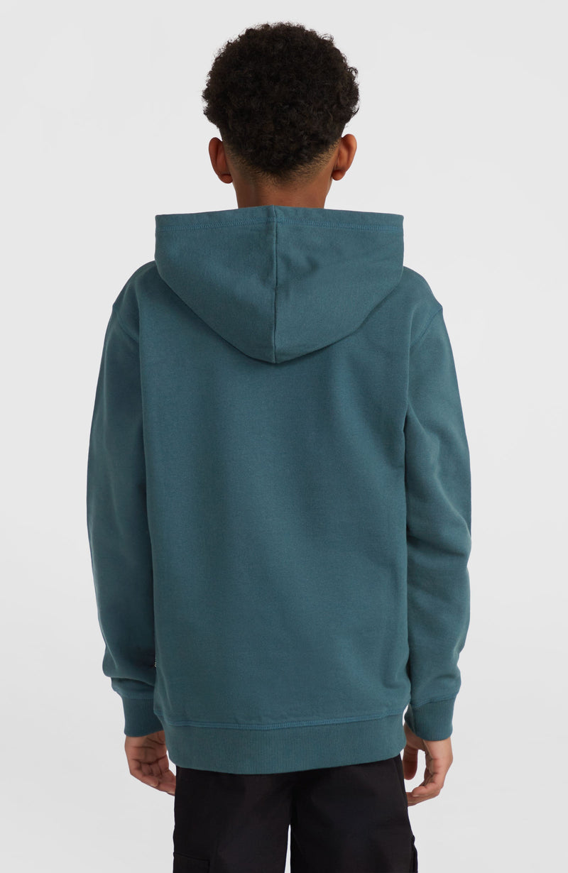 Oneill Kids Front Print Hoodie | Blue