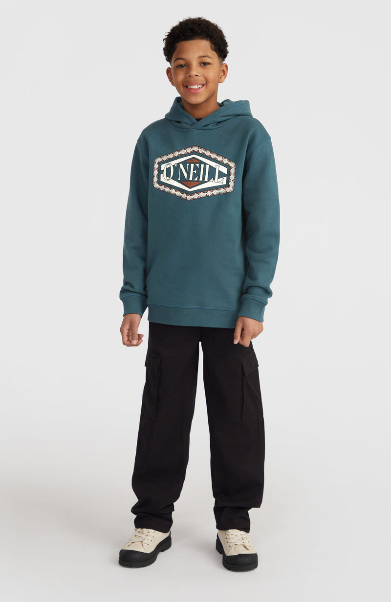 Oneill Kids Front Print Hoodie | Blue
