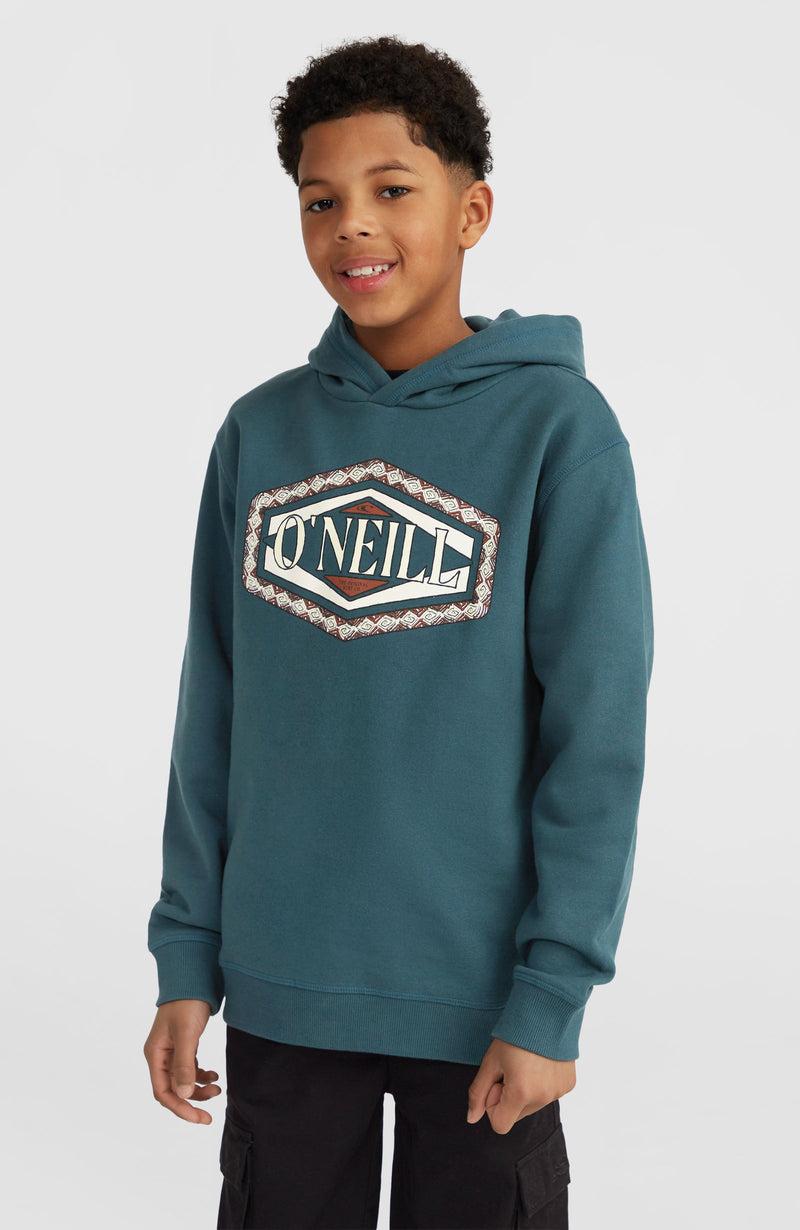 oneill Kids Front Print Hoodie | Blue