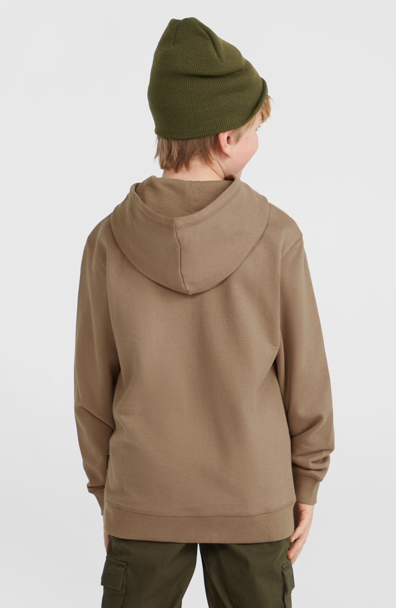 Oneill Kids Front Print Hoodie | Brown