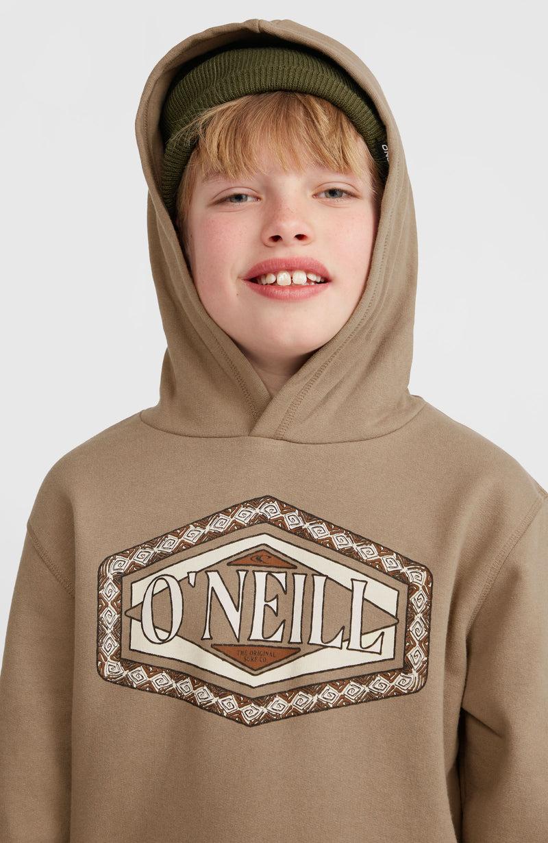 Oneill Kids Front Print Hoodie | Brown