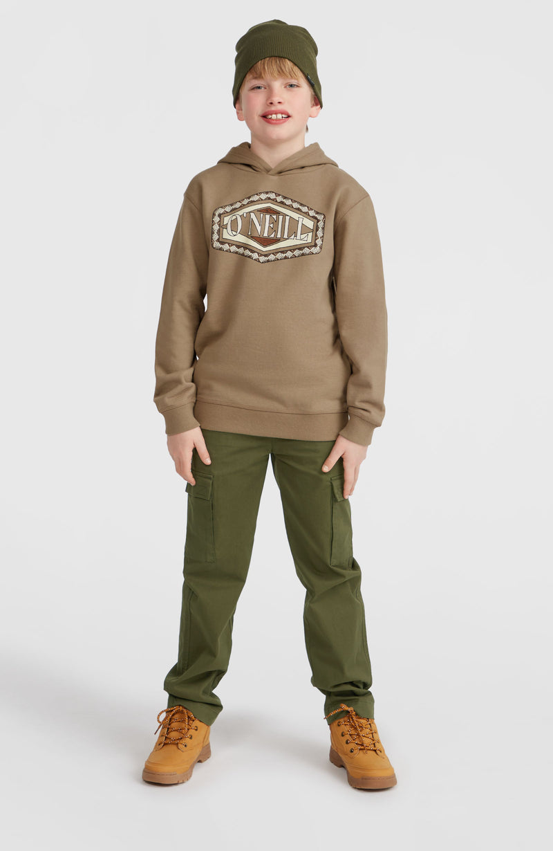 Oneill Kids Front Print Hoodie | Brown