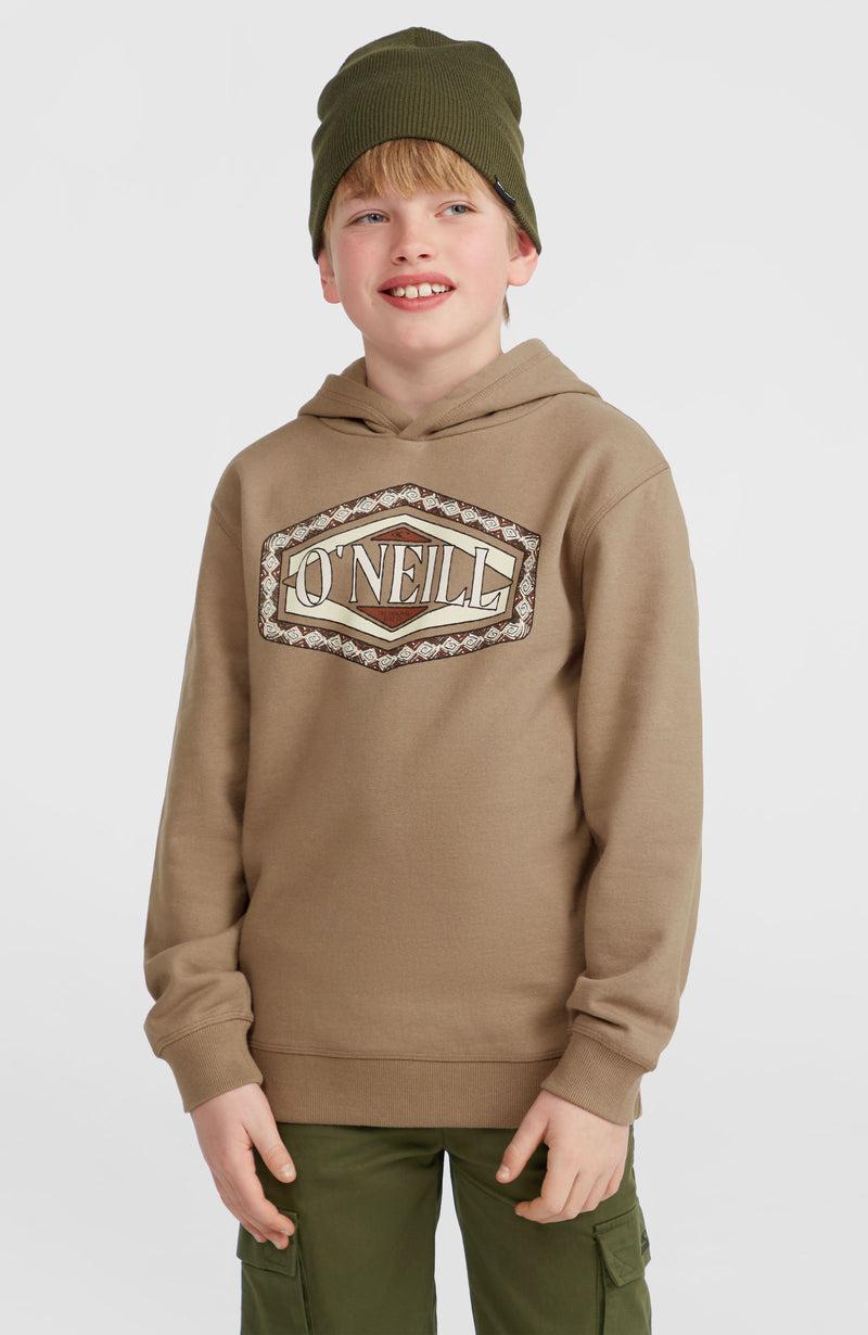 oneill Kids Front Print Hoodie | Brown