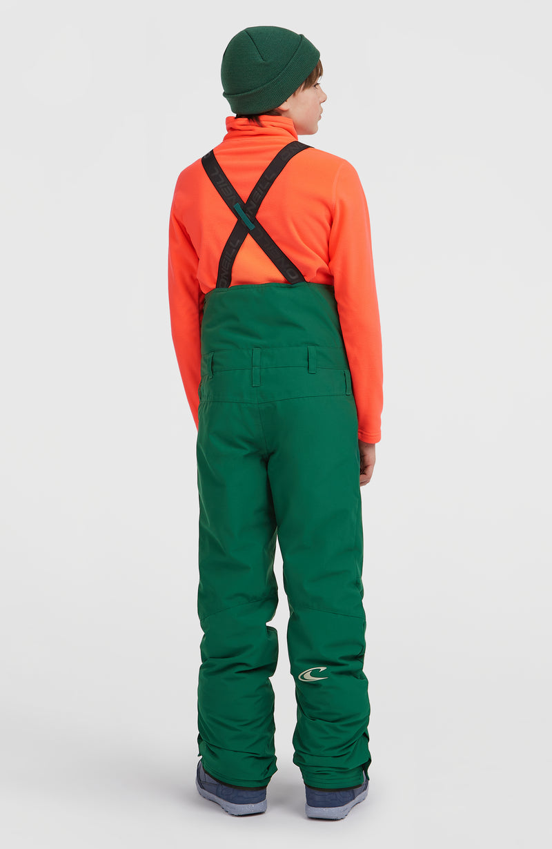 Oneill Kids FWC'Cruz Bib Snow Pants | Green Mix