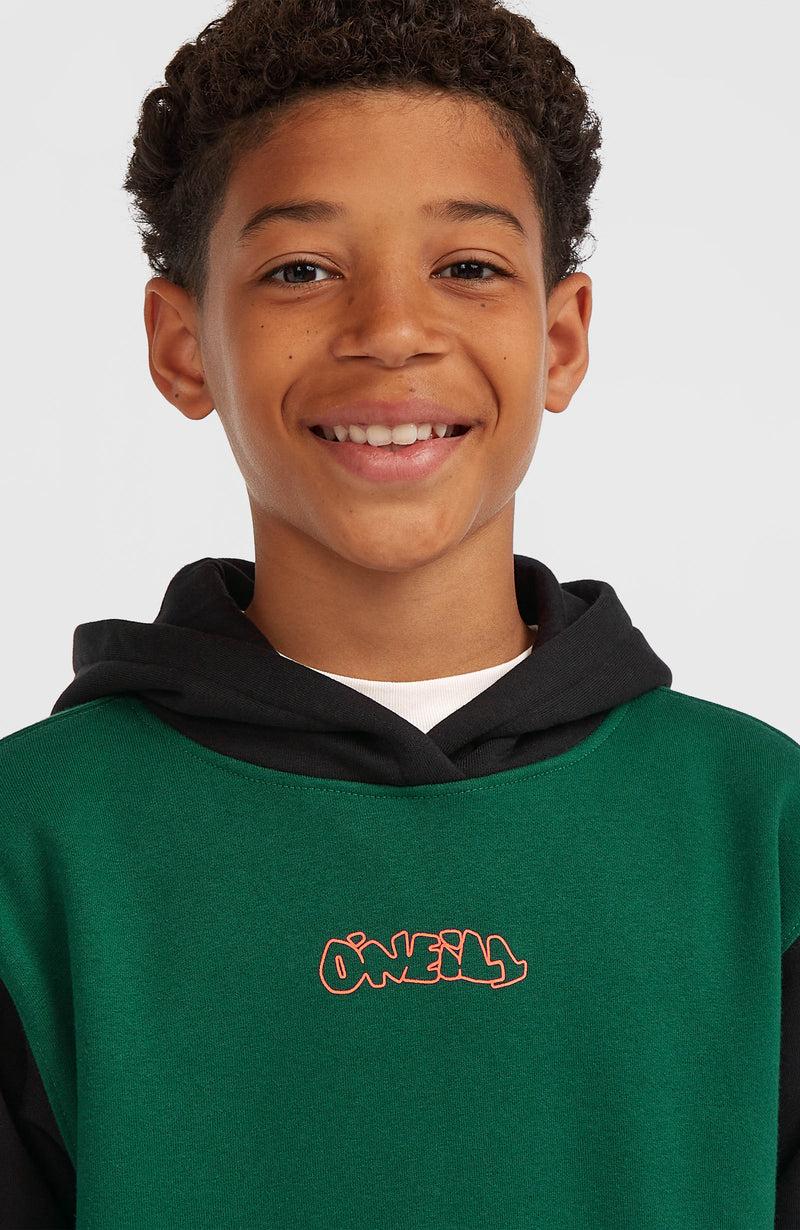 Oneill Kids FWC'Play Hoodie | Green Mix
